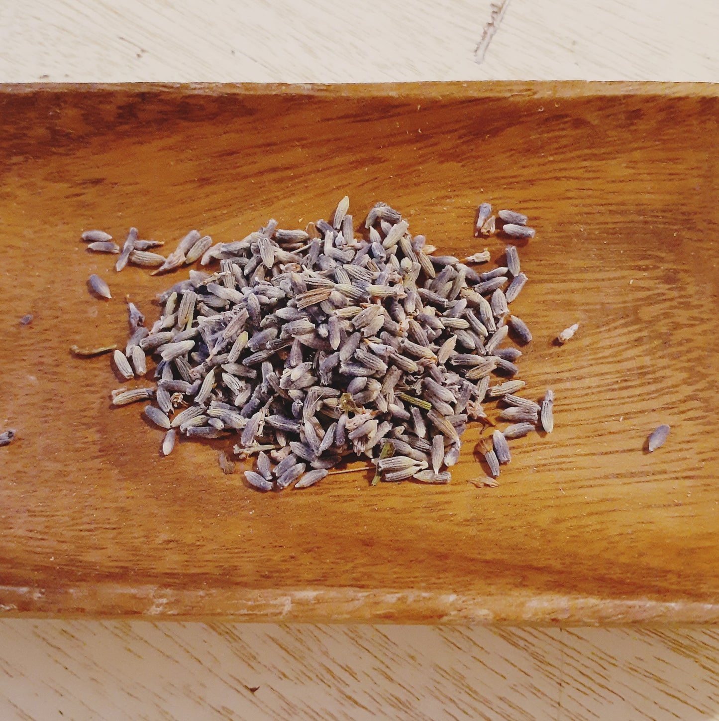 Lavender buds