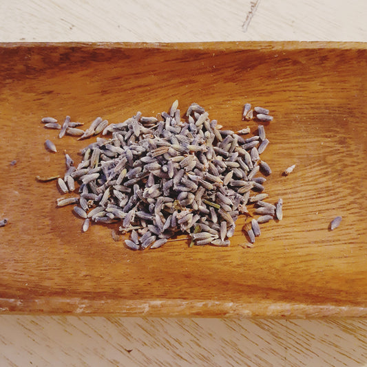 Lavender buds